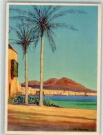 Las Palmas de Gran Canaria 1934 Foto AK Norddeutscher Lloyd