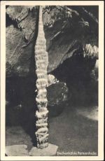 58636 W5860 Iserlohn 1953 - Iserlohn, Dechenhöhle, Palmenhalle,Karl Wagner AKU1