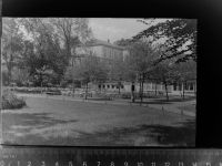 59423 W4750 Unna GLASNEGATIV Park