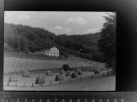 93470 W8491 Lohberg b Lam, Oberpf GLASNEGATIV