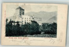 9900 Lienz 1903 Foto AK Schloss Bruck