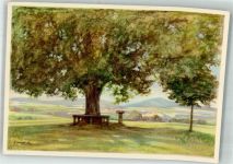 36433 O6200 Bad Salzungen Künstlerkarte Blick vom Schanzbaum sign.