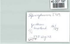59964 W5789 Referinghausen FOTO KEINE AK Gasthaus Sauerland Innenaufnahme