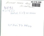 47546 W4192 Kalkar , Niederrhein FOTO KEINE AK Hotel Siekmann
