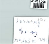 37586 W3354 Lauenberg FOTO KEINE AK