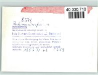 94239 W8375 Ruhmannsfelden FOTO KEINE AK Luftaufnahme Arberblick