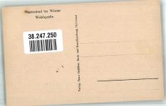 Marianske Lazne Marienbad Winter Waldquelle