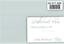 88316 W7972 Überruh FOTO KEINE AK Sanatorium