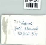 29664 W3030 Walsrode FOTO KEINE AK Gastst. Eckernworth