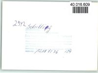26434 W2942 Schillig FOTO KEINE AK Luftaufnahme