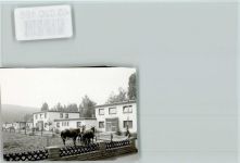 37197 W3420 Hattorf am Harz FOTO KEINE AK Altersheim Pferde