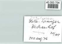 27472 W2190 Holte-Spangen FOTO KEINE AK Buchenhof, Reethaus