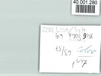 25992 W2282 List , Sylt FOTO KEINE AK Ferienhaus, VW-Käfer