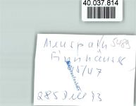 53520 W5489 Meuspath FOTO KEINE AK Finnhäuser