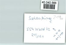 27472 W2190 Sahlenburg FOTO KEINE AK