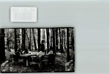 91171 W8547 Greding FOTO KEINE AK pausierende Gruppe Rastplatz im Wald
