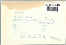 48683 W4422 Wessum FOTO KEINE AK Bauern Pension Wegener