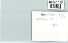 32805 W4934 Leopoldstal , Lippe FOTO KEINE AK Ortsansicht