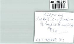 56379 W5409 Obernhof , Lahn FOTO KEINE AK Ortsansicht