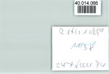 27336 W2818 Rethem (Aller) FOTO KEINE AK