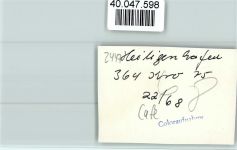 23774 W2447 Heiligenhafen , Holst FOTO KEINE AK Cafe