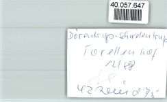 32694 W4926 Dörentrup FOTO KEINE AK Forellenhof