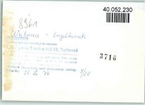 87480 W8961 Weitnau FOTO KEINE AK Engelhirsch
