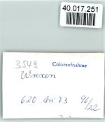 34474 W3549 Wrexen FOTO KEINE AK