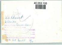 37586 W3354 Lüthorst FOTO KEINE AK Pension Haus Wildwiese