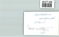 59964 W5789 Oberschledorn FOTO KEINE AK Märchenwald