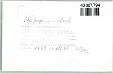 77784 W7617 Oberharmersbach FOTO KEINE AK Brückle