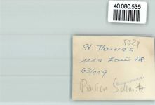 54655 W5524 St Thomas , Eifel FOTO KEINE AK Pension Schmitz