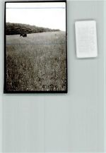 67829 W6761 Schmittweiler b Callbach FOTO KEINE AK Pferd ohne Namen