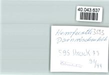 34549 W3593 Hemfurth FOTO KEINE AK Dornröschenhöhe