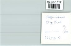 26409 W2944 Altfunnixsiel FOTO KEINE AK Lütjeland