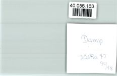 24351 W2343 Damp FOTO KEINE AK Segler