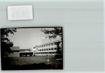 87480 W8961 Weitnau FOTO KEINE AK Engelhirsch