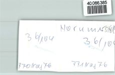 26434 W2942 Horumersiel FOTO KEINE AK