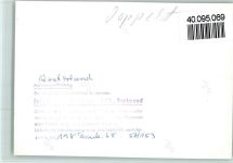 W2280 Westerland Seehund Robbe FOTO KEINE AK