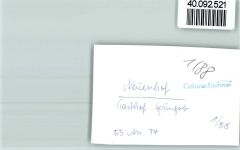 57635 W5231 Neuenhof , Westerw FOTO KEINE AK Gasthof Springob Garten Liegestühle