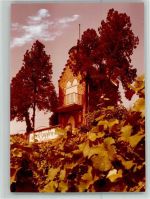 67574 W6522 Osthofen , Rheinhess FOTO KEINE AK Leckzapfen