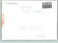 67574 W6522 Osthofen , Rheinhess FOTO KEINE AK Leckzapfen