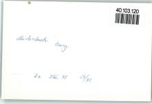54570 W5537 Mürlenbach FOTO KEINE AK Ortsansicht