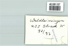 69427 W6933 Waldleiningen , Baden FOTO KEINE AK Schloß Sanatorium