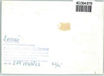 24326 W2323 Dersau , Kr Plön FOTO KEINE AK Gesamtansicht