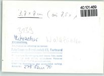 29456 W3139 Hitzacker (Elbe) FOTO KEINE AK Waldfrieden