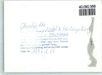 32816 W4938 Glashütte FOTO KEINE AK Hotel Herlinsburg