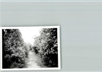48683 W4422 Ottenstein , Westf - Foto