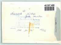 58809 W5982 Küntrop FOTO KEINE AK Gasthaus Schweitzer Innenaufnahme Gastraum