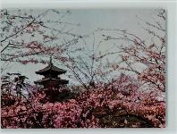 Yokohama Blütenpracht imSankei-en Park AKU2 Tempel
